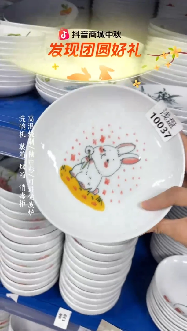 瓷片景德镇手绘釉中彩（食品级）浅盘