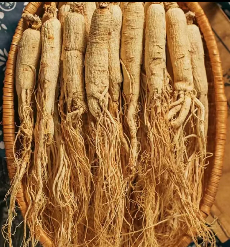 长白山自然凉晒干参（无硫无磺）