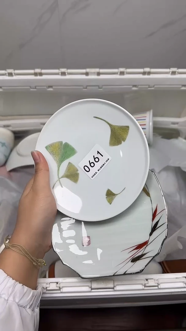 【闪购商品】661回流瓷器默认微瑕，18.8包邮