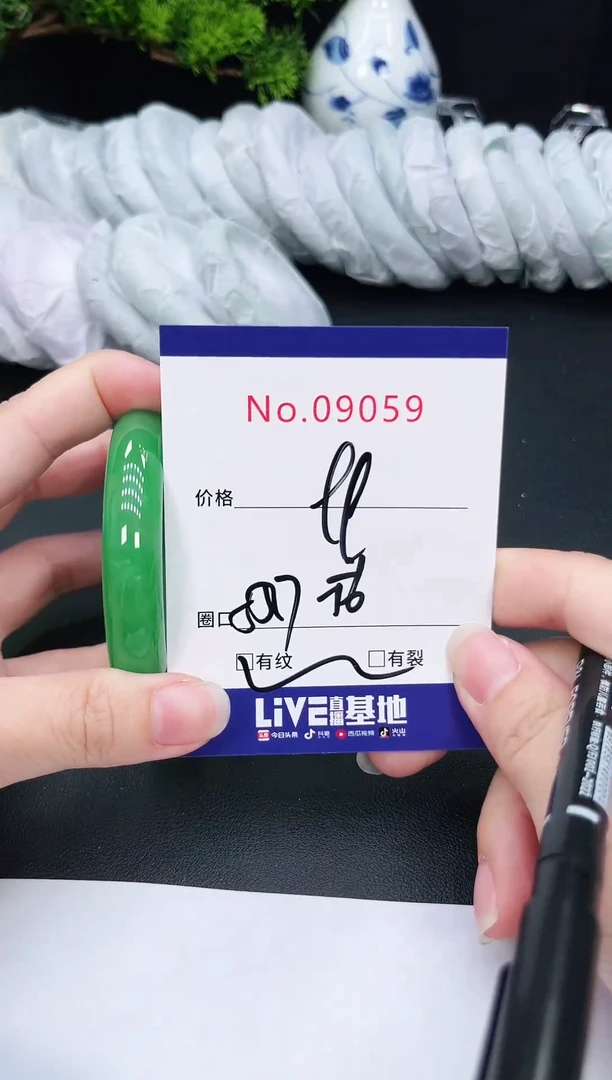 未镶嵌手镯翡翠9059