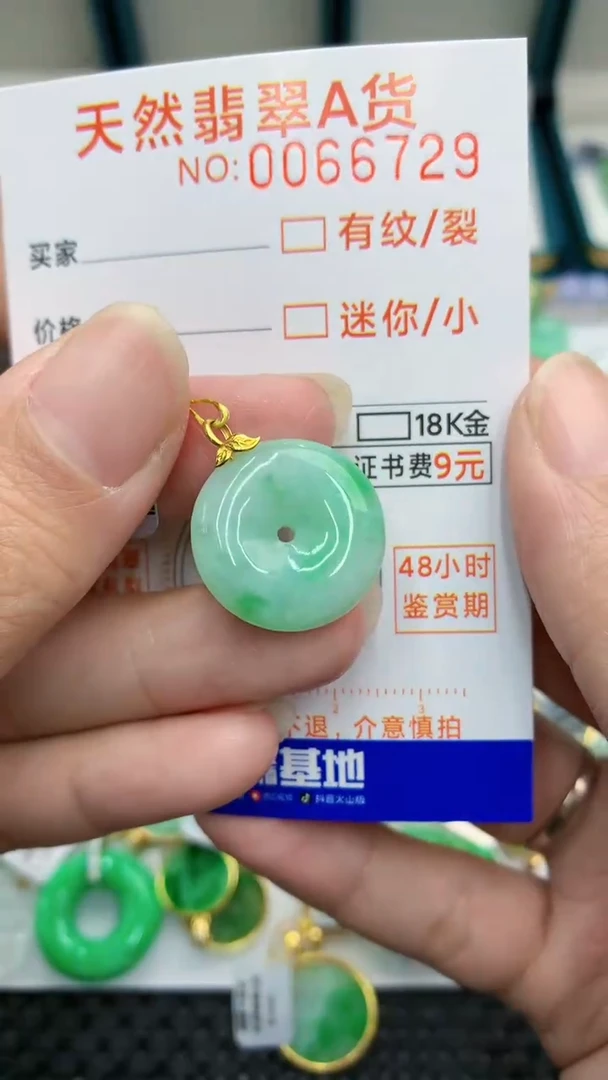 【闪购商品】翡翠颈饰18K金镶嵌            8