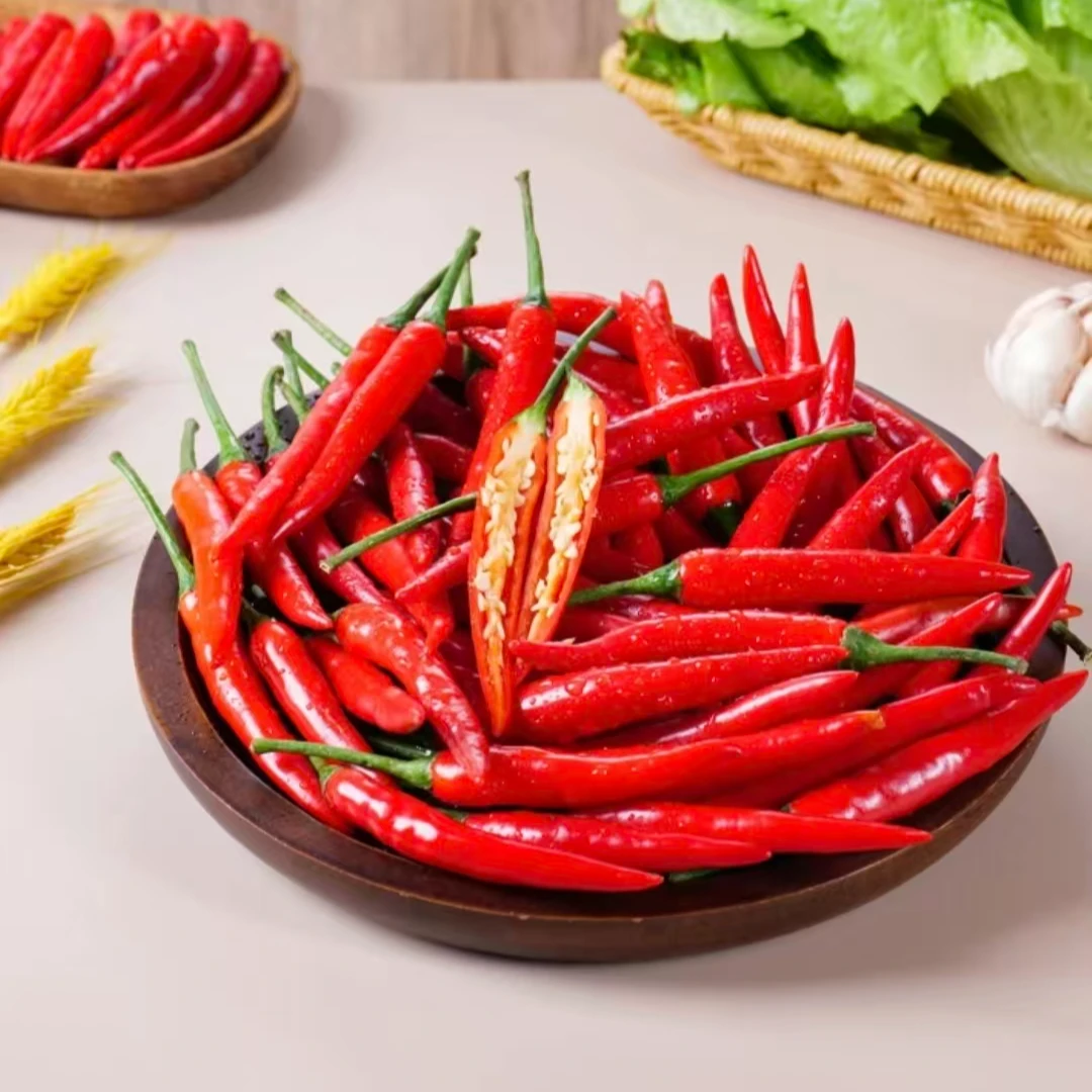 非大棚种植小米辣椒新鲜现摘特辣朝天椒农家小尖椒小米辣