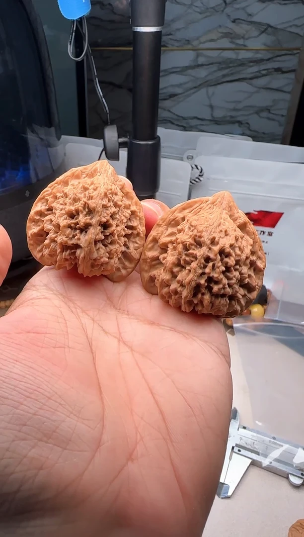 文玩核桃吊坠45  全品 高尖满天星