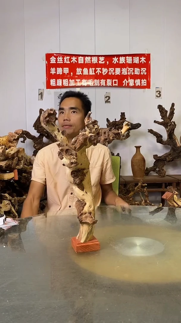 香榧木顺*金丝红木   羊蹄甲