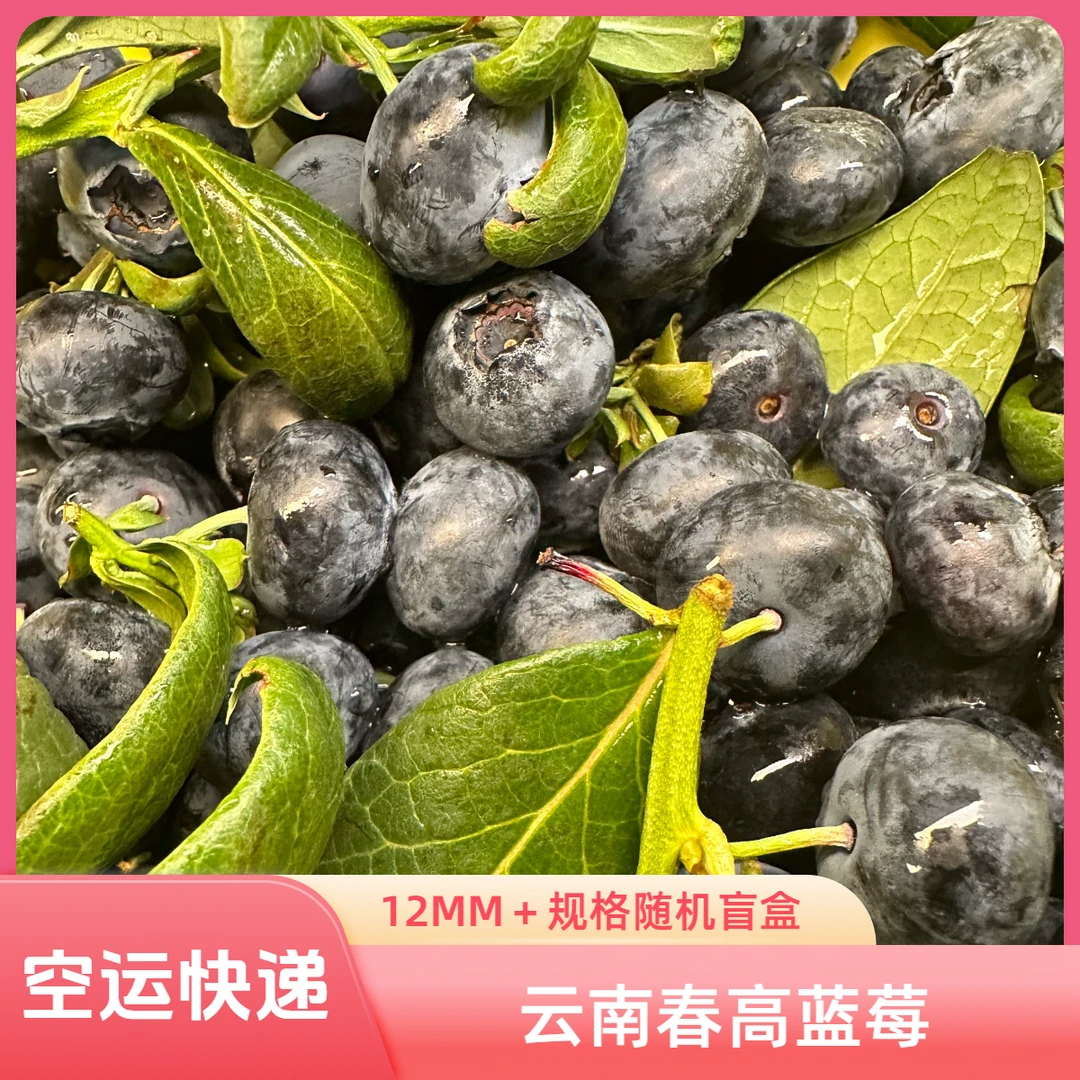 云南蓝莓12mm+规格盲盒不分大小空运春高软糯清甜宝宝辅食