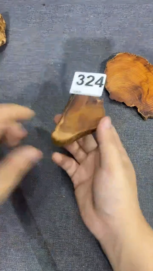 柏木（崖柏）太行山陈化崖柏一片