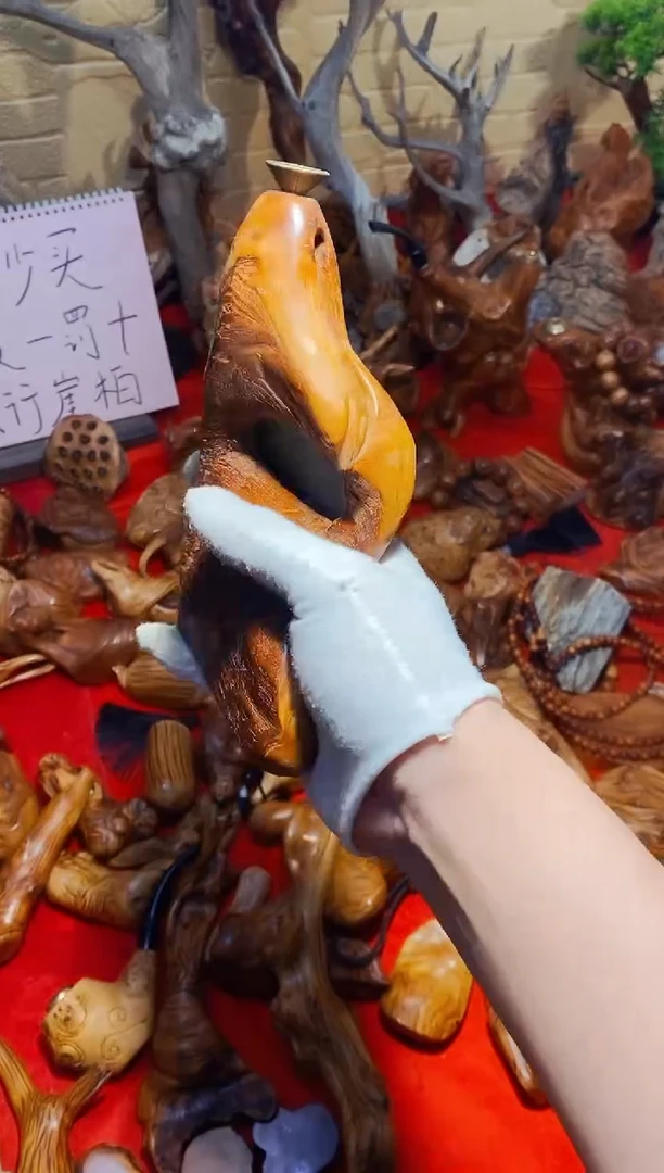 【闪购商品】柏木39崖柏崖柏崖柏崖柏崖柏