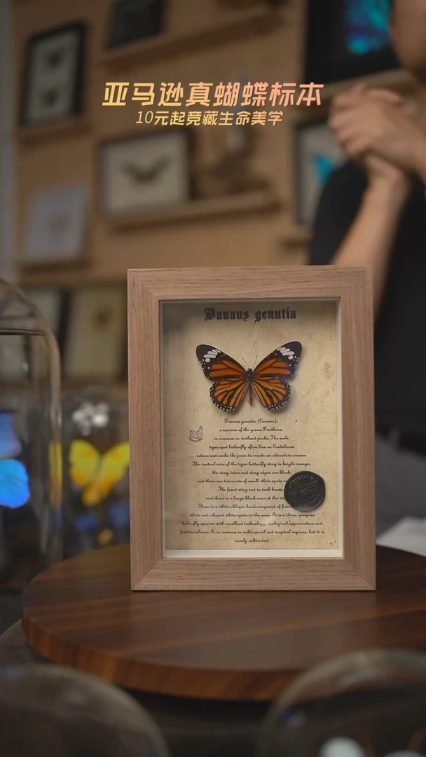 有机玻璃虎斑复古版