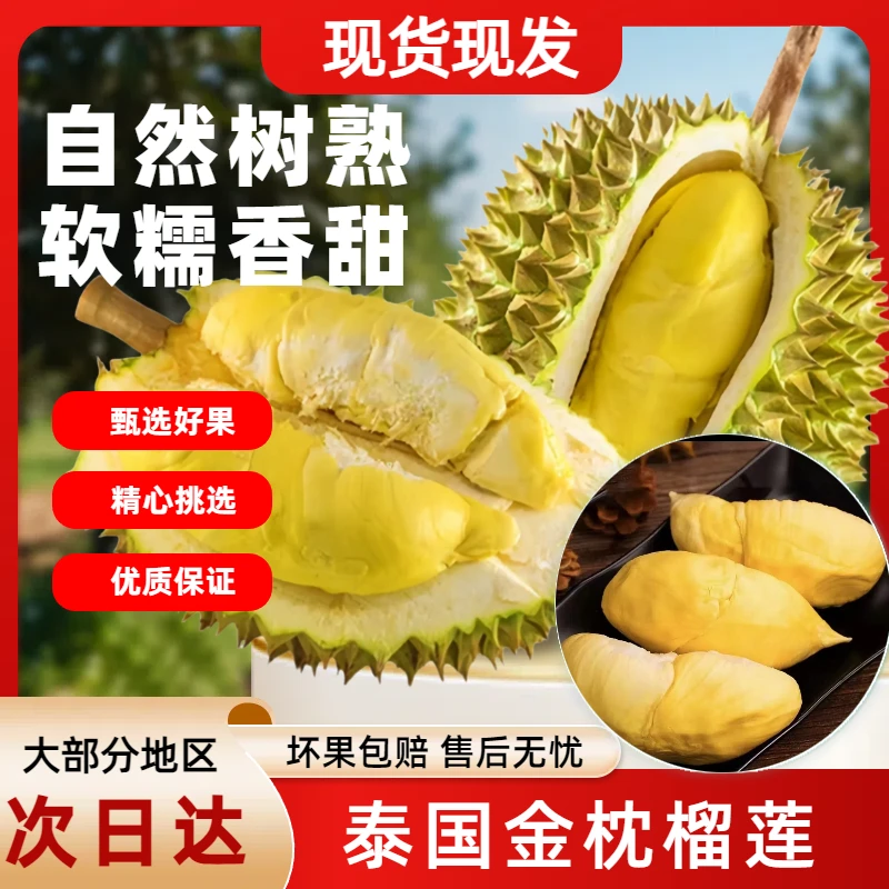 【9月日期】泰国金枕树熟6A级冷冻榴莲肉软糯香甜自然树熟冷链发货