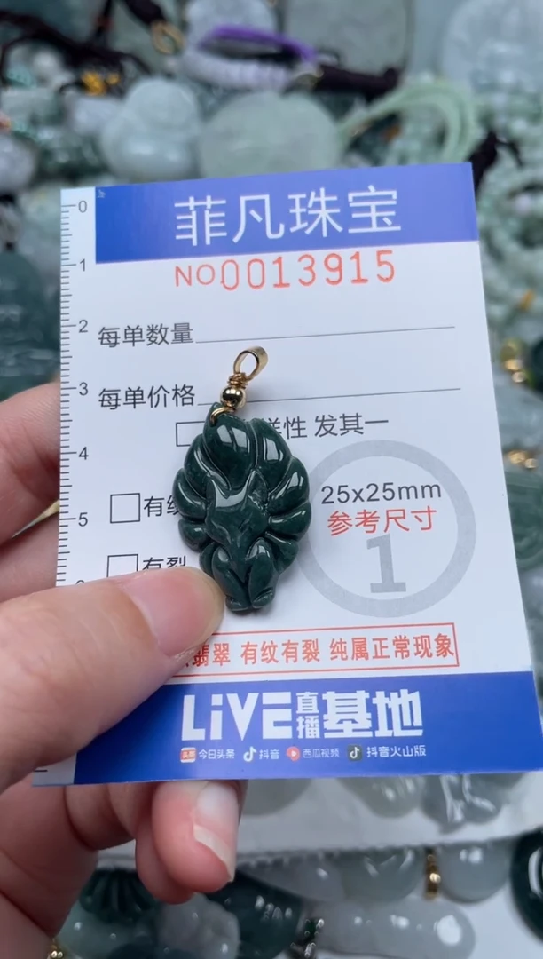 颈饰未镶嵌翡翠13915