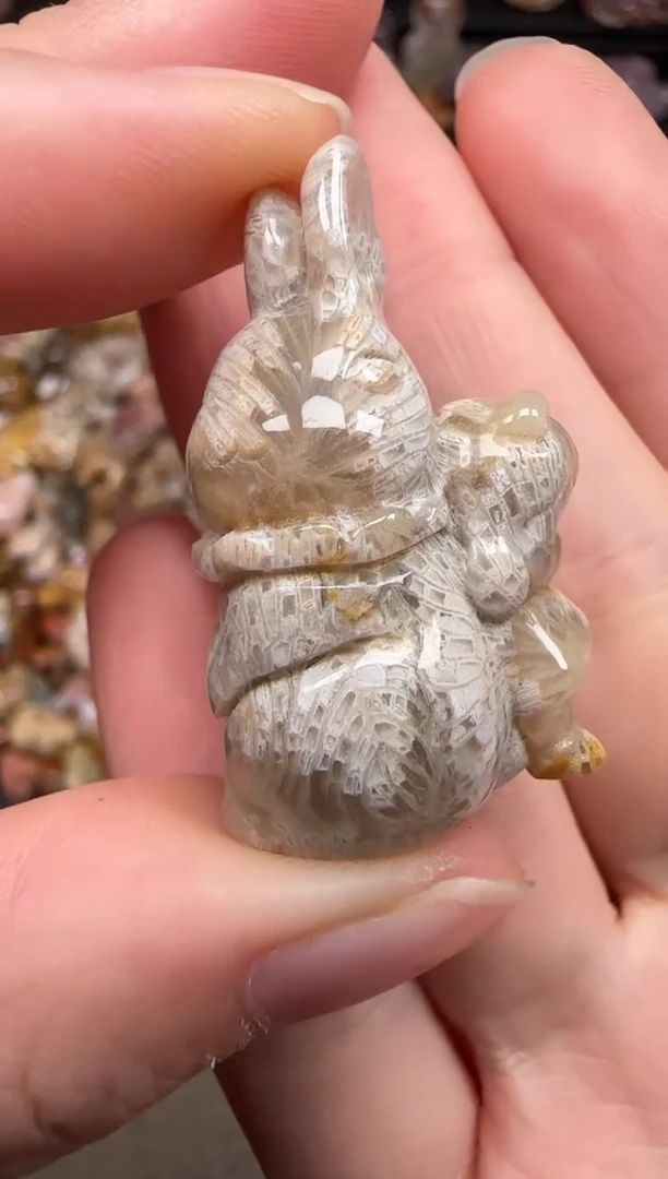 硅化珊瑚（珊瑚玉）未镶嵌颈饰236