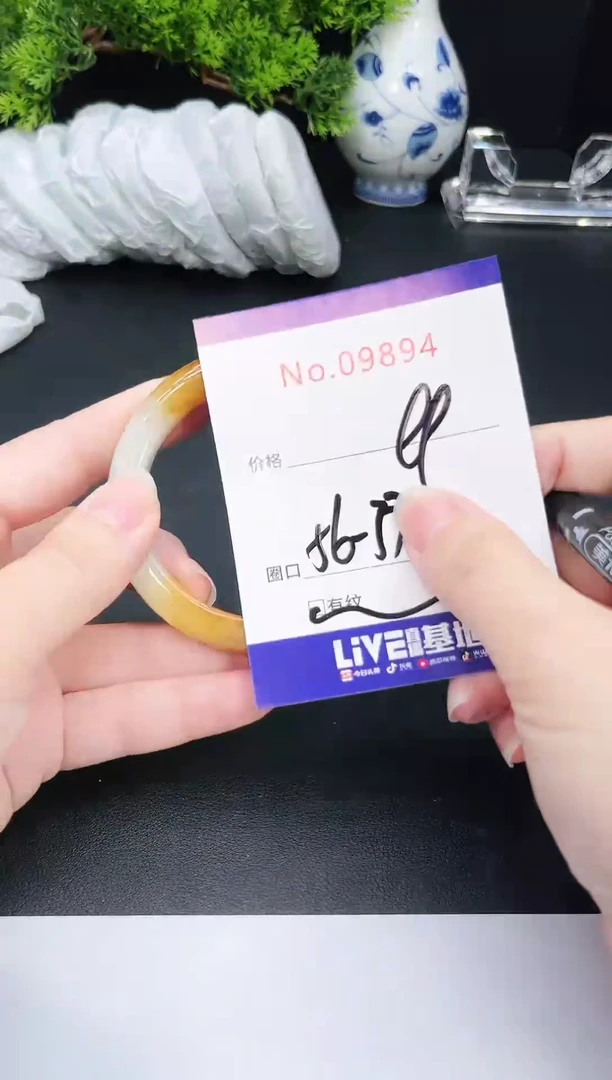 未镶嵌手镯翡翠9894