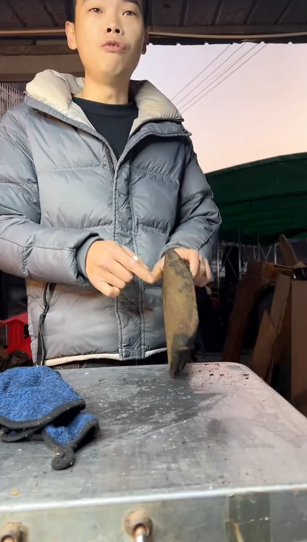 【闪购商品】乌木金丝楠小叶桢楠工艺