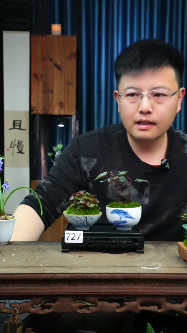 【闪购商品】苔藓微景观727号