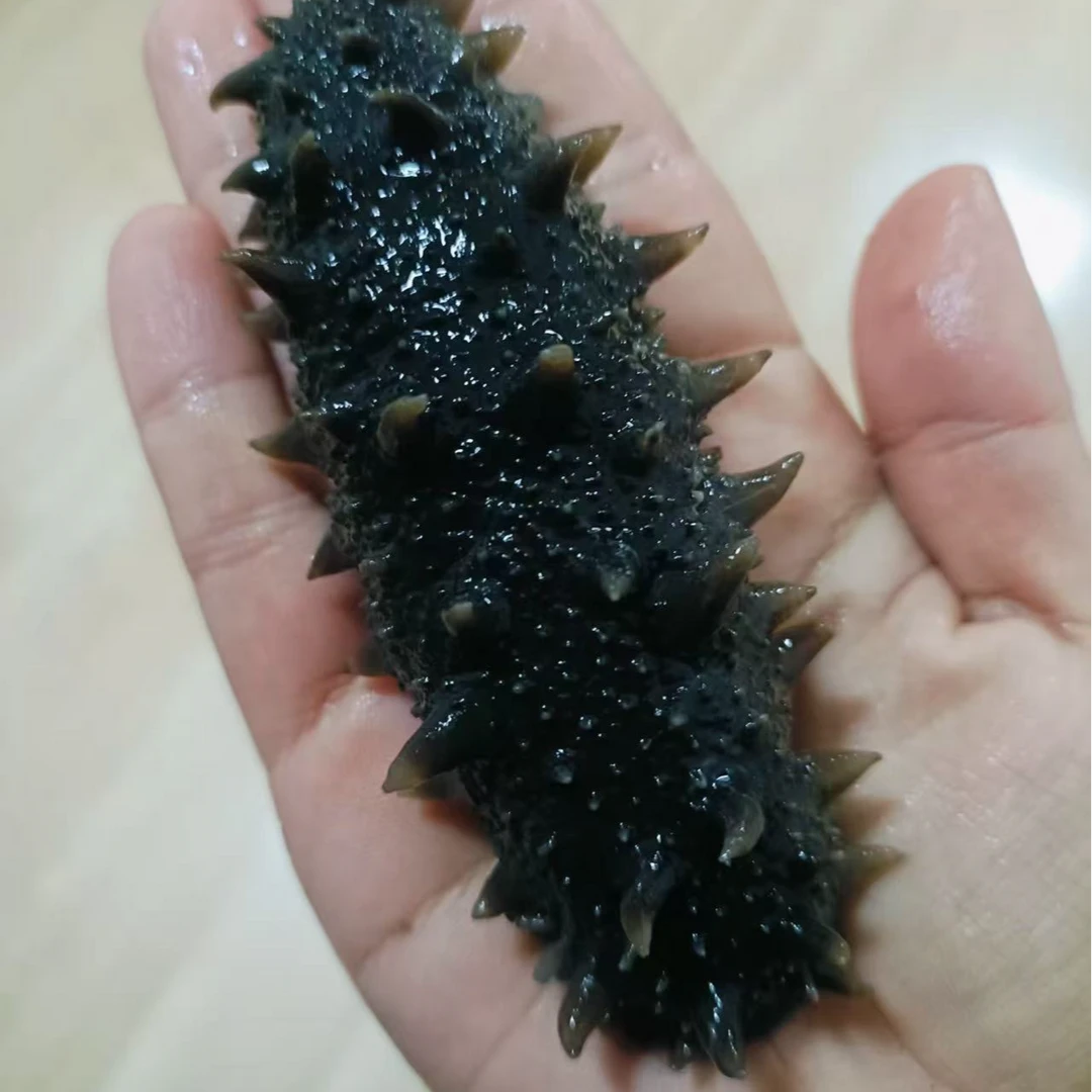 归城小馆大连拉缸盐海参   500g