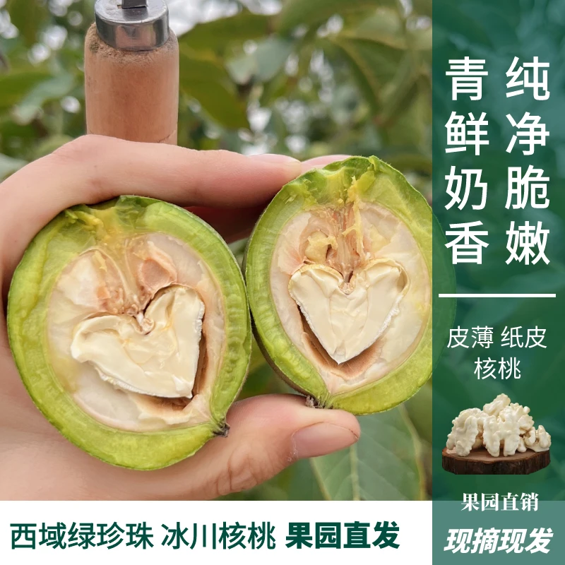 新鲜核桃185纸皮湿核桃带青皮营养脆香适合孕妇宝宝新疆现摘直发