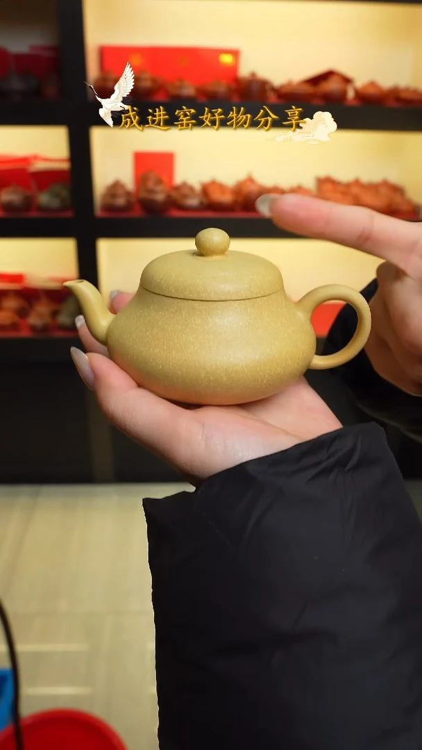 茶壶紫砂宜兴紫砂069