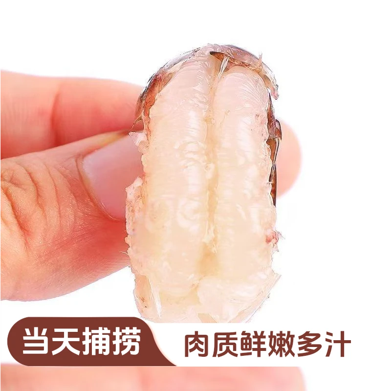 活虾现剥抽虾线顺丰冷链包邮到家