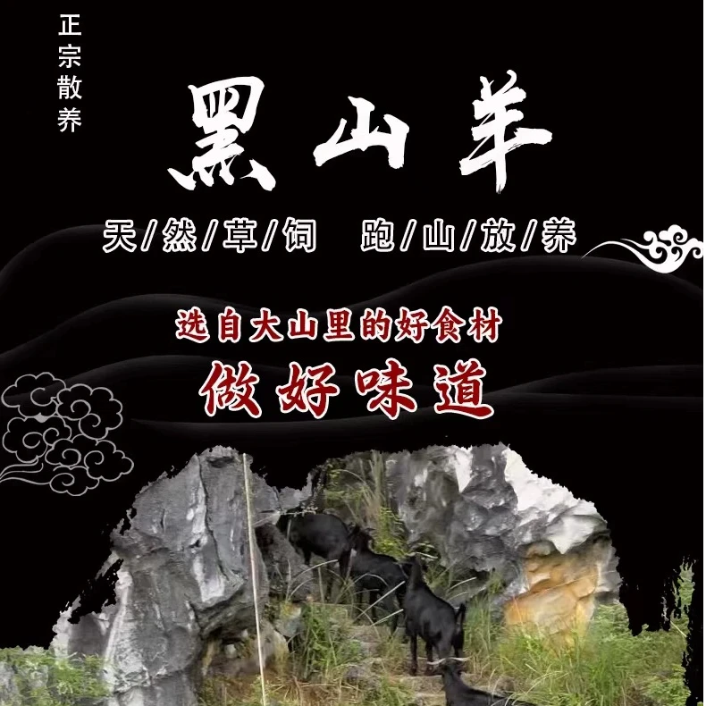 半羊整扇散养黑山羊100%腿排（3斤/5斤）