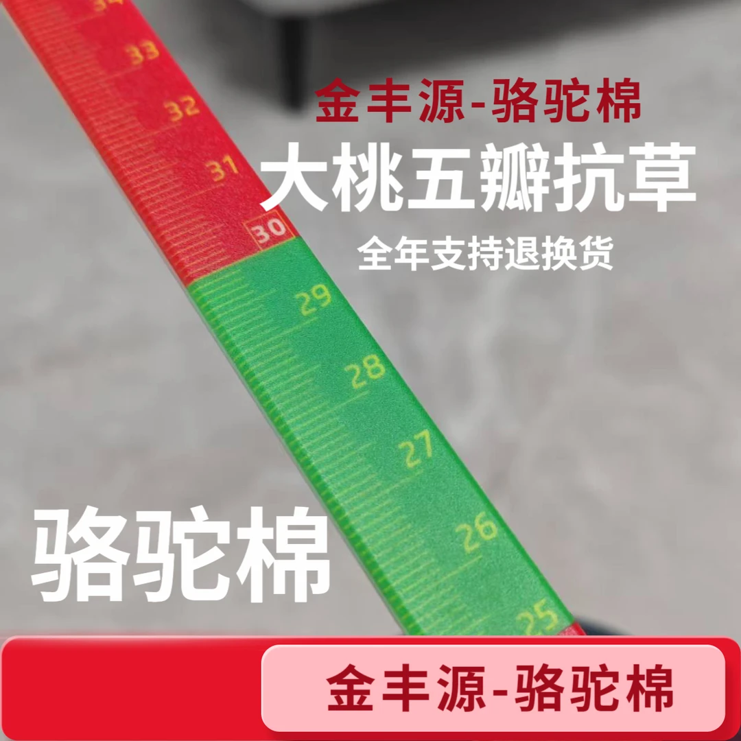 金丰源种业骆驼棉定金尺子