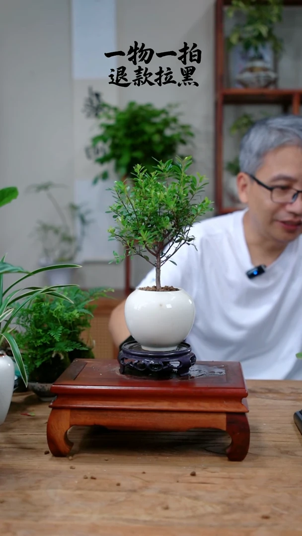 完全开放钱**量476赤楠