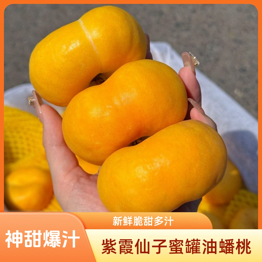 【韩美丽专属】紫霞仙子蜜罐油蟠桃 花香桃香 神甜多汁 应季爆款