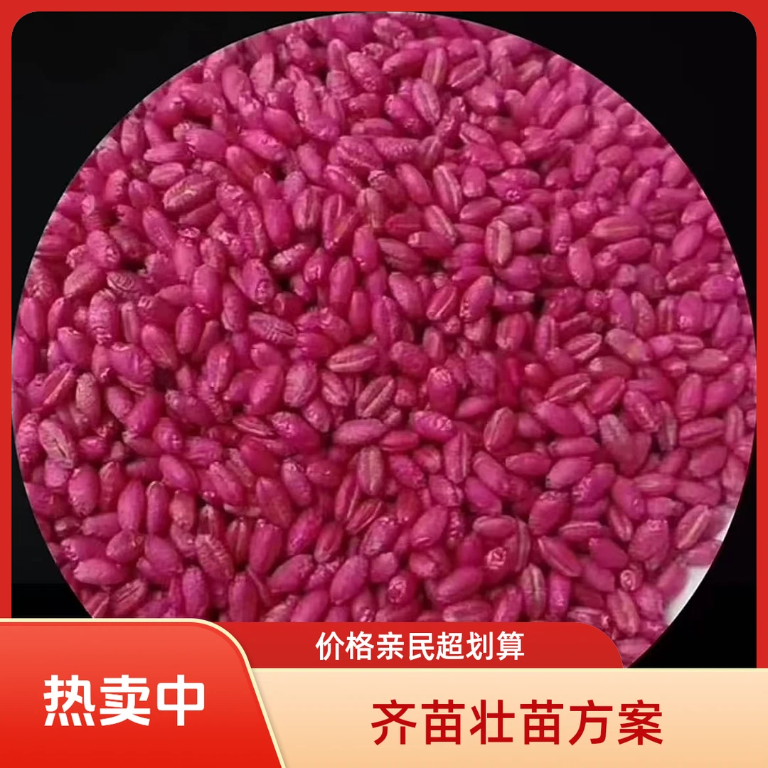 【高端加强版】小麦出苗齐出苗块生根壮苗组合技术方案