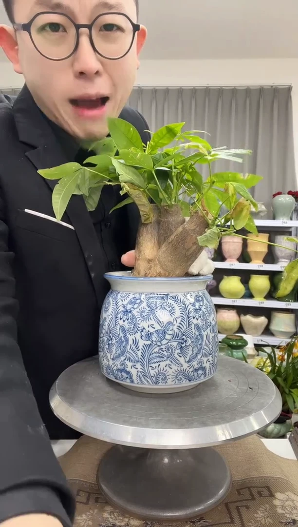 【1.3】花盆链接 高：14  口：12