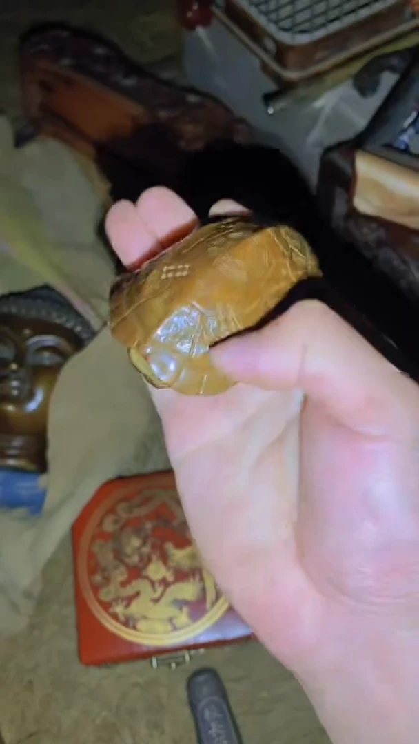 木福利富甲+盘一一一优选