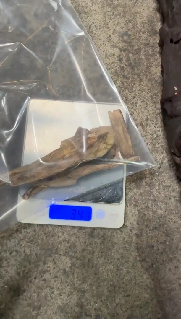 木海南橄榄香原料把件30g