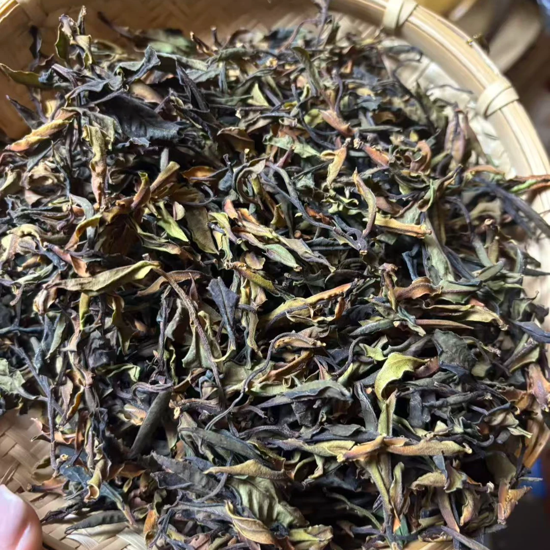 【野生白茶单株】2025年-头春头采-100克-白茶散料