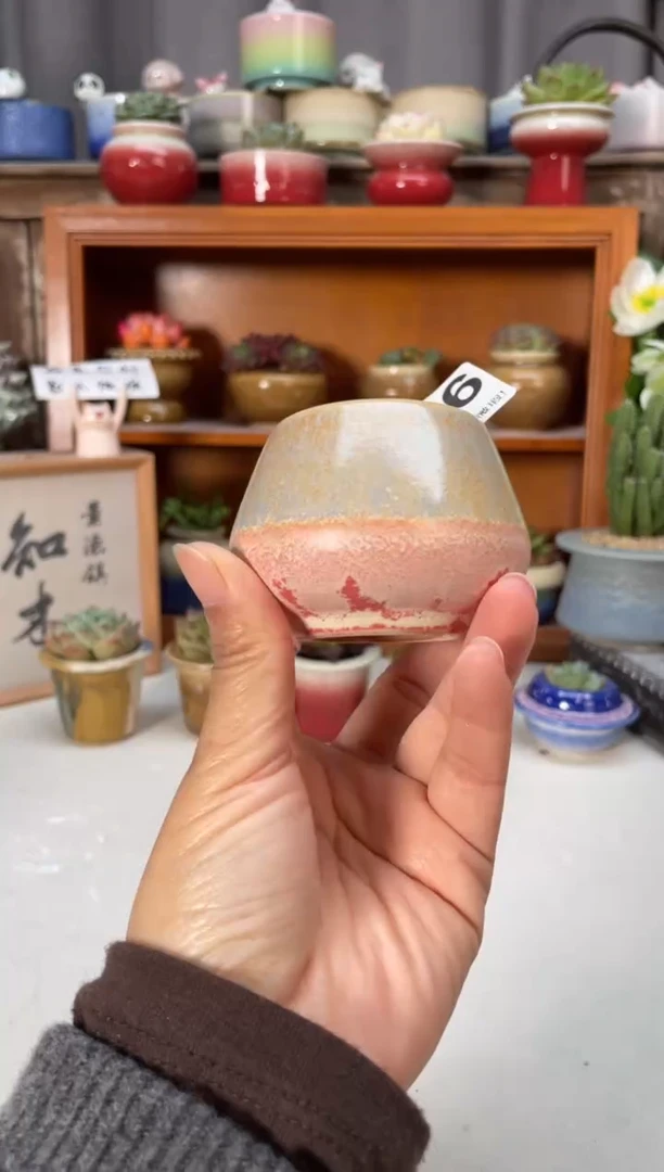 瓷片196知木小芳花盆直播编号