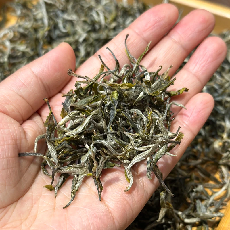 2025年倚邦古树猫耳朵小叶种头春1000克/5-11