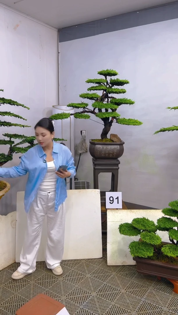 无花朵一物一拍一物一拍