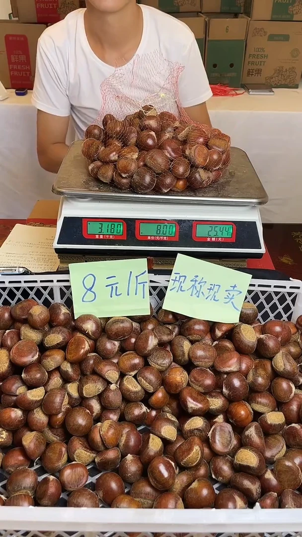 云南高山老树板栗中国大陆净重3斤装