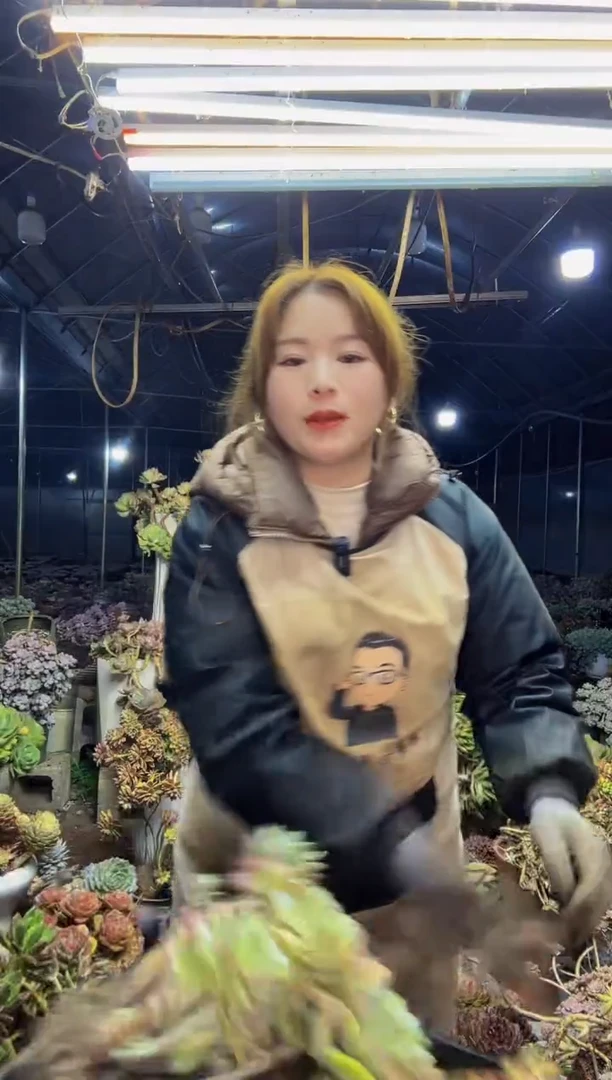 【闪购商品】10号一物一拍默认微瑕不售后