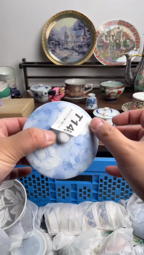 【闪购商品】瓷片146-T-满20包邮48h凑单