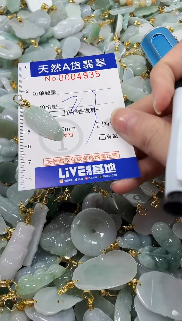 颈饰未镶嵌翡翠纯天然a货翡翠