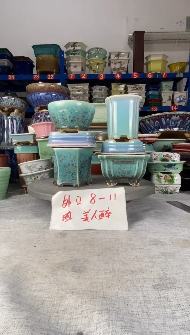 102217六只美人醉花盆