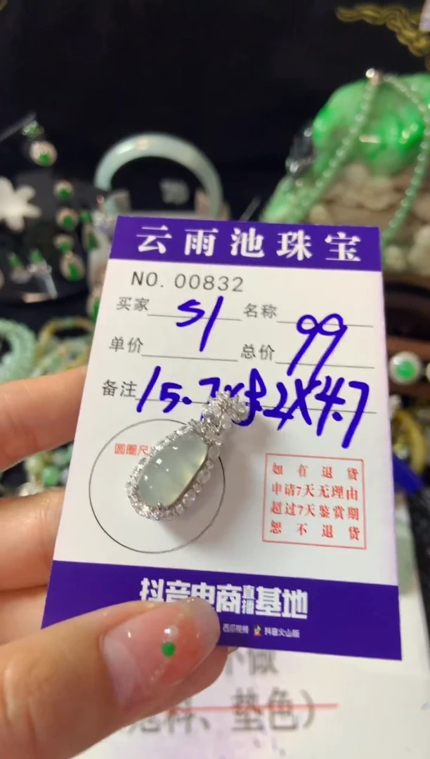 【闪购商品】翡翠颈饰银S925镶嵌翡翠