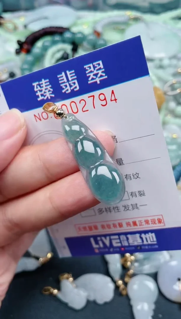 翡翠未镶嵌颈饰.0002794