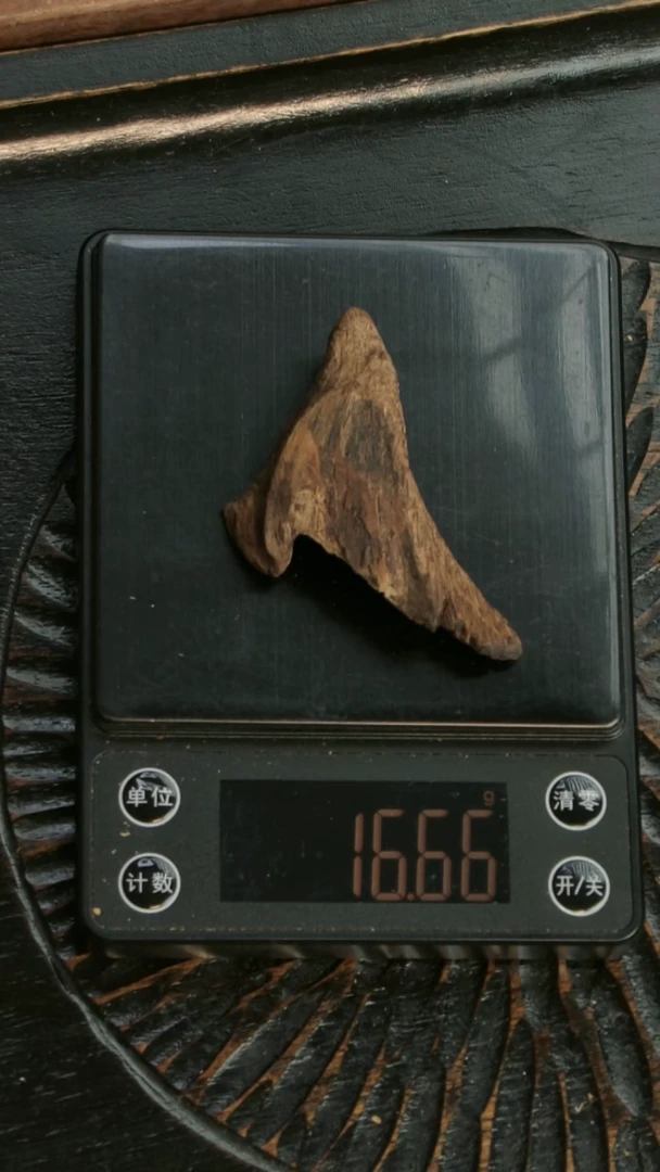 沉香沉香碎屑16.66克富森沉水