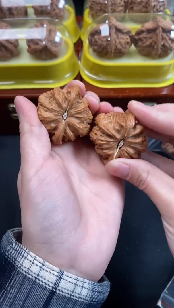 把件文玩核桃白狮子41尺Q792