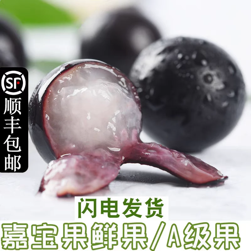 顺丰沙巴嘉宝果新鲜水果树葡萄鲜果新鲜现摘孕妇罕见稀奇水果包邮