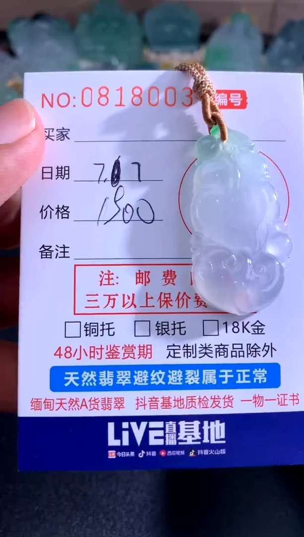 翡翠未镶嵌颈饰好好