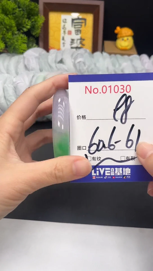 未镶嵌手镯翡翠拍下以实物为准1030