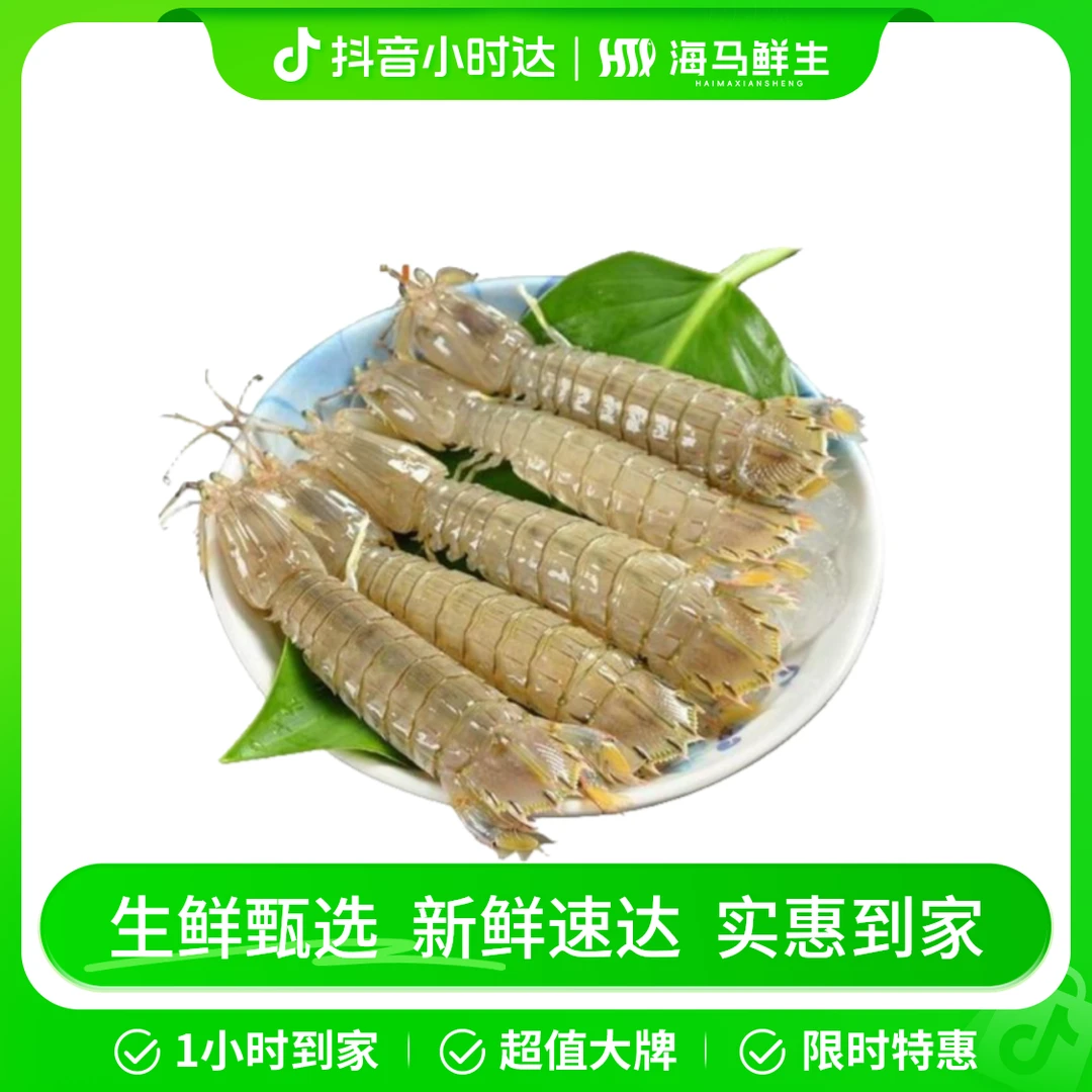 青峰中皮皮虾（5斤）【打氧活发/拆封不退】