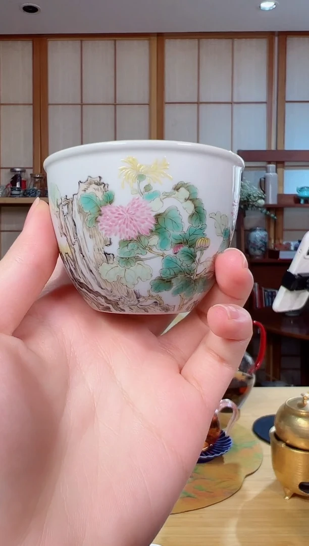 云集菊花小单杯福利价格