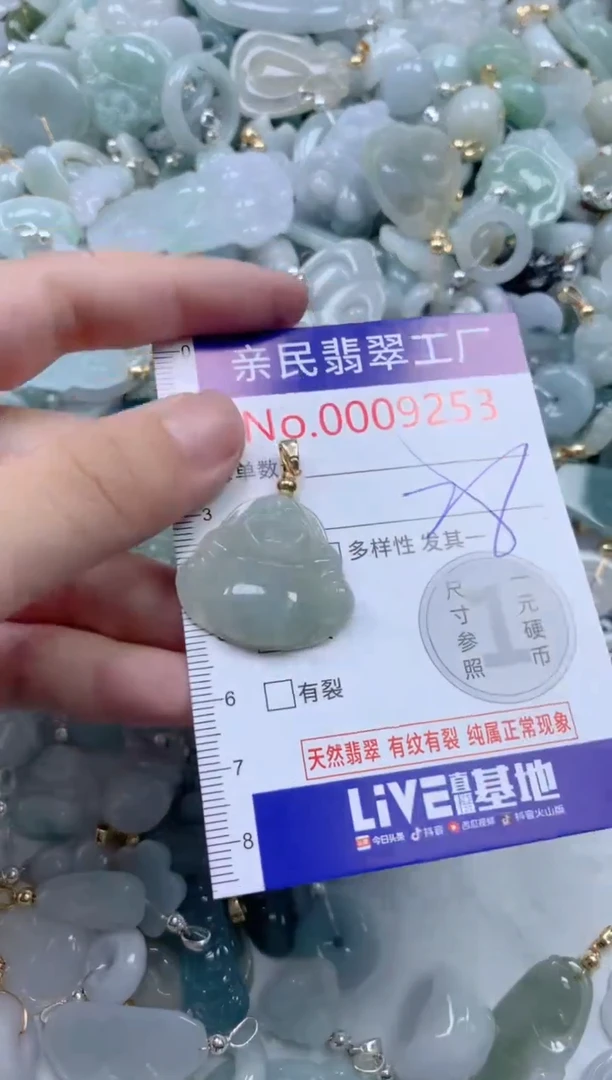 翡翠未镶嵌颈饰9253