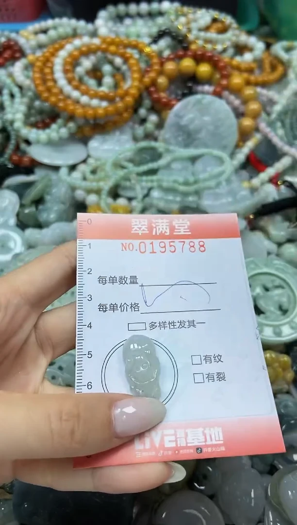 颈饰未镶嵌翡翠闪购0195788